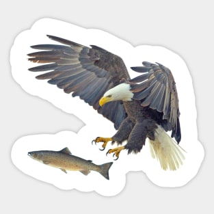 Eagle Sticker